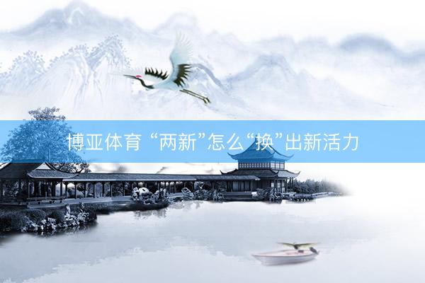 博亚体育 “两新”怎么“换”出新活力