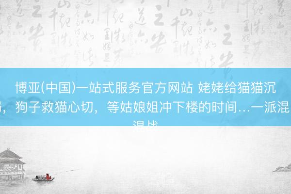 博亚(中国)一站式服务官方网站 姥姥给猫猫沉溺，狗子救猫心切，等姑娘姐冲下楼的时间…一派混战