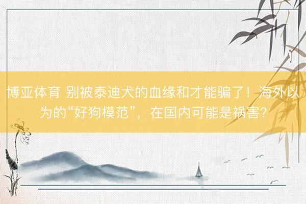 博亚体育 别被泰迪犬的血缘和才能骗了！海外以为的“好狗模范”，在国内可能是祸害？