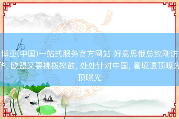 博亚(中国)一站式服务官方网站 好意思俄总统刚访华， 欧盟又要挑拨捣鼓， 处处针对中国， 窘境透顶曝光