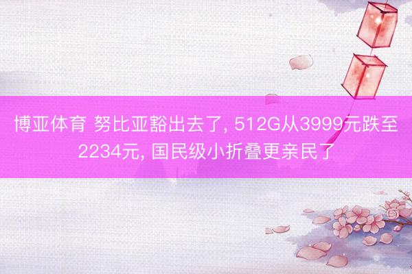 博亚体育 努比亚豁出去了， 512G从3999元跌至2234元， 国民级小折叠更亲民了