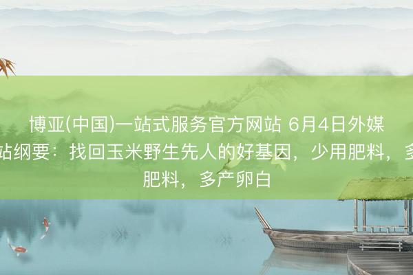 博亚(中国)一站式服务官方网站 6月4日外媒科学网站纲要:找回玉米野生先人的好基因,少用肥料,多产卵白