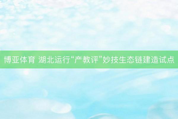 博亚体育 湖北运行“产教评”妙技生态链建造试点