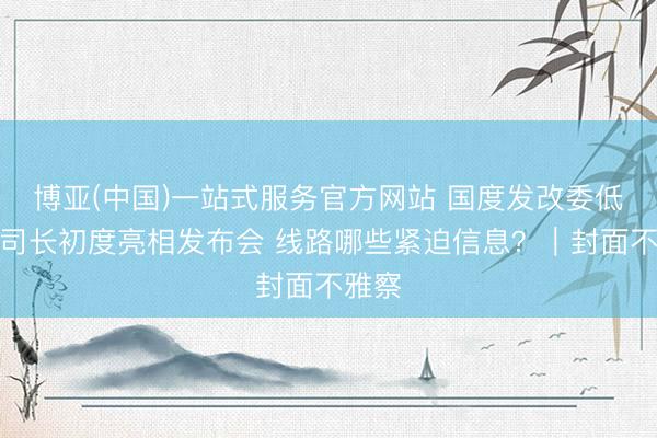 博亚(中国)一站式服务官方网站 国度发改委低空司司长初度亮相发布会 线路哪些紧迫信息？｜封面不雅察