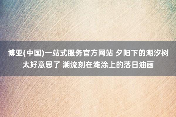博亚(中国)一站式服务官方网站 夕阳下的潮汐树太好意思了 潮流刻在滩涂上的落日油画